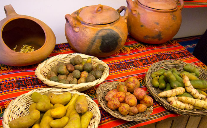 Cusco Cooking Class Potatoes