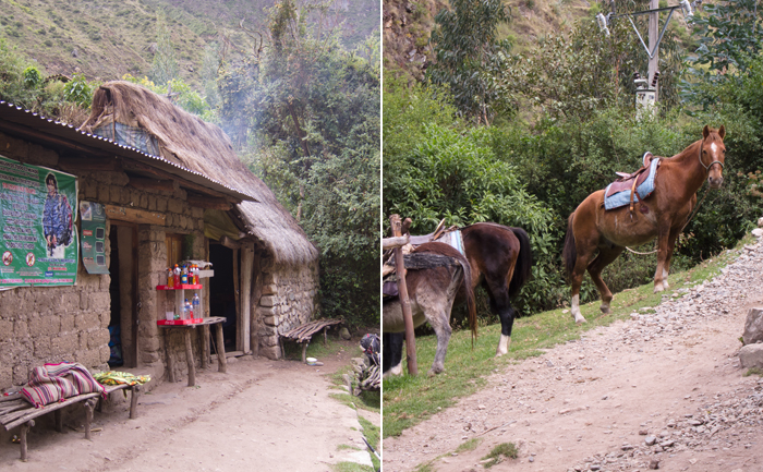 Inca Trail Day 1 Snacks Carried by Horse