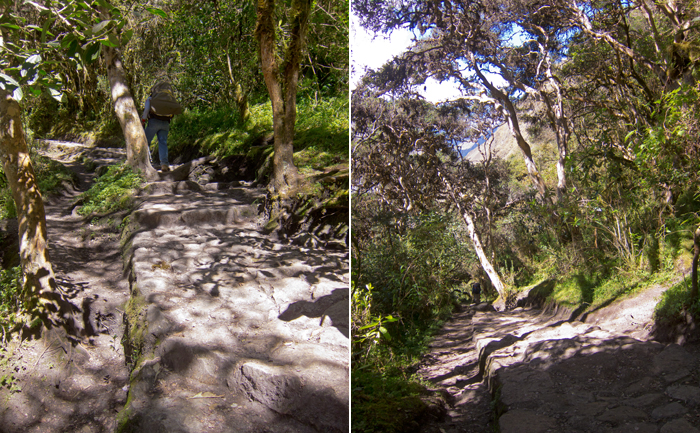 Inca Trail Day 2 Steep Climb