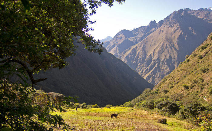 Inca Trail Day 2 Field