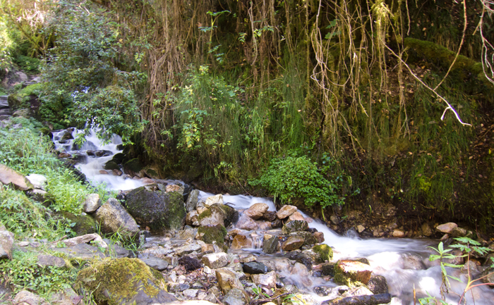 Inca Trail Day 2 Stream