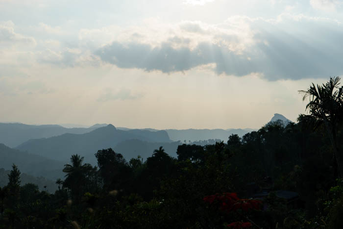 Munnar - Royal Mist View