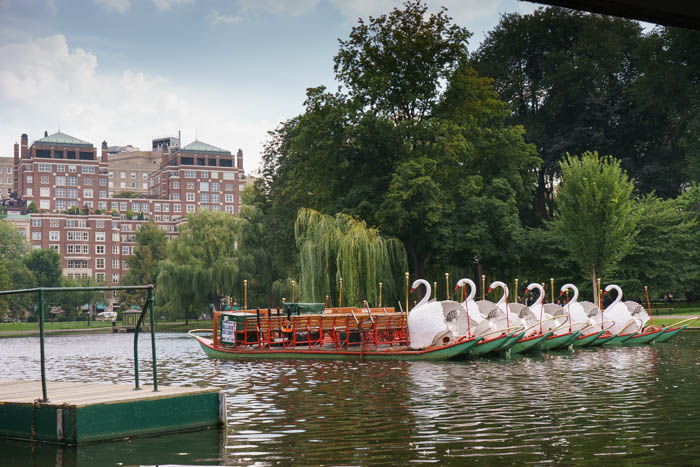 Boston Business Travel Guide - Public Garden